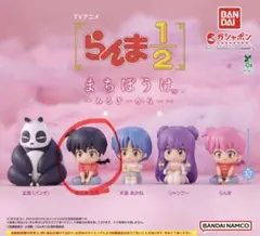 らんま1/2 まちぼうけ みるきーからー　早乙女乱馬