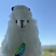 alpaca to hana アルパカと花 白金木犀 チョーカー - メルカリ