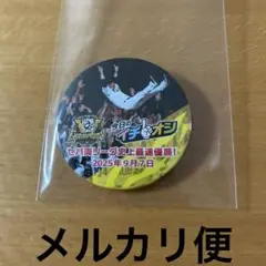 優勝　缶バッジ★胴上げ　イチオシ★阪神タイガース