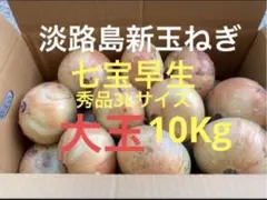 淡路島たまねぎ 新玉ねぎ 七宝 秀品10キロ - メルカリ