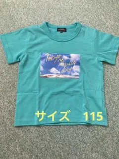 はやぶさ　ターコイズ Tシャツ 115のサムネイル