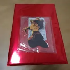 鬼滅の刃 無限城編 キービジュアル ランダムアクリルスタンド 栗花落カナヲ