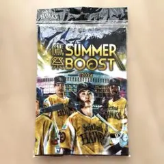 ソフトバンクホークス　2024 フェイスタオル