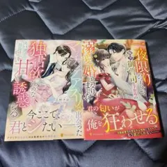 エタニティコミック​　３冊セット 2026年最新】エタニティコミックの人気アイテム - メルカリ