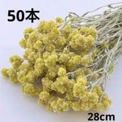 cocosana様 リクエスト 2点 まとめ商品