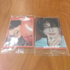 ENHYPEN ウエハース ステッカー ジョンウォン