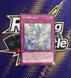 白き龍の威光　シークレット　シク　遊戯王　青眼の白龍　ブルーアイズ
