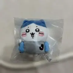 ちいかわ ハチワレ Jリーグ マスコット