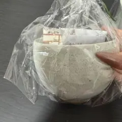 湯飲みセット 2個セット