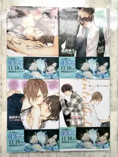 美しい彼 4巻セット シリーズ