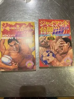 2025年最新】ジャイアント台風の人気アイテム - メルカリ