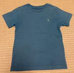 ノースフェイス　モンキーマジックTシャツ