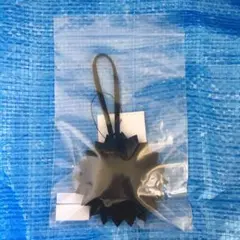 Item thumbnail for item b33ae215-5e10-4bb3-b609-3d4528ba9ef4