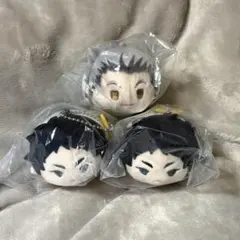 ハイキュー!! 木兎光太郎 赤葦京治 もちマス