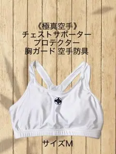 未使用（試着のみ）極真空手 チェストガード プロテクター 胸当て 防具 サイズＭ