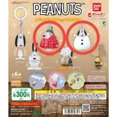 【スヌーピーC・スヌーピーE】PEANUTS めじるしアクセサリー