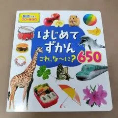 はじめてずかん 650