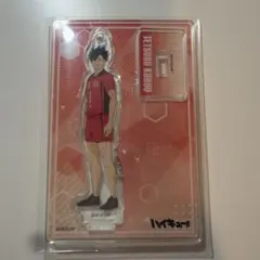 黒尾哲郎　黒尾　音駒　アクリルスタンド　ハイキュープラザ　ハイキュー！！