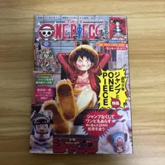 新品未開封　ルフィプロモ付き　ワンピースマガジン　1冊