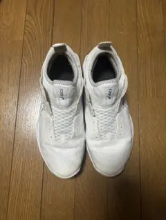 京都ハンナリーズ 渋田せんしゅ