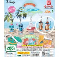 ディズニー めじるしアクセサリー サマー チップ デール