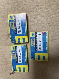 Item thumbnail for item 79e25979-6f66-4595-9454-c8716f58c481