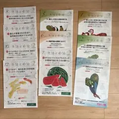 生活と自治 セット