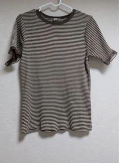 【オンライン完売品】mysa closet テレコボーダーTシャツ L 淡茶
