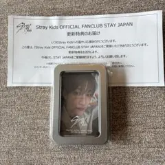 2025年最新】stray kids チェキの人気アイテム - メルカリ