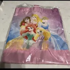 ディズニープリンセス上履き入れシューズケース上靴入れ