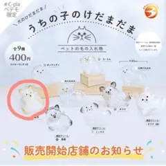 うちの子けだまだま　柴犬