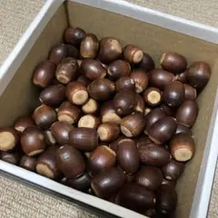 くぬぎ　どんぐり　117個