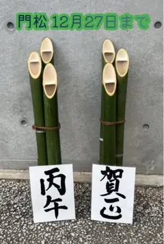 Item thumbnail for item 252f8937-2a32-446f-bc33-e463055c8c81