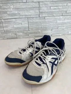 ASICS TVR482 バレーボールシューズ 25.5cm