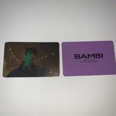 EXO ベッキョン BAMBI トレカ