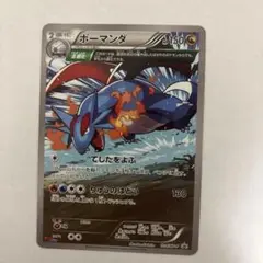 ボーマンダ：月刊コロコロイチバン！5月号付録 PROMO XYシリーズプロモー…