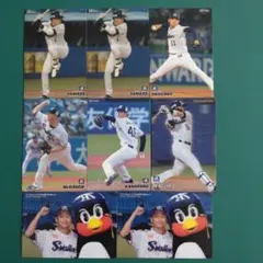 カルビー　プロ野球カード 2021　ヤクルトスワローズ