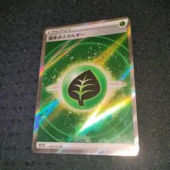 基本草エネルギー SR S12a VSTARユニバース 251/172