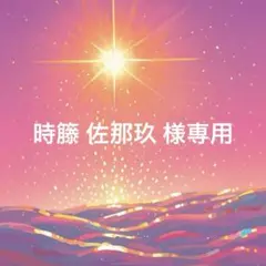 時籐 佐那玖 様専用 5月10日までお取置き品