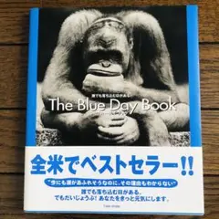 ブルーデイブック
