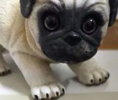 希少 加藤工芸 KATO KOGEI 柴犬 置物 オブジェ 陶器 犬 - メルカリ