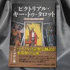 エラー】タートルタイガー 海外版 英語版 - メルカリ