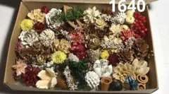 小さな木の実詰め合わせ　1640