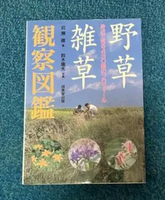 野草雑草観察図鑑　成美堂出版　植物観察入門