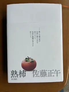 熟柿 佐藤正午 KADOKAWA