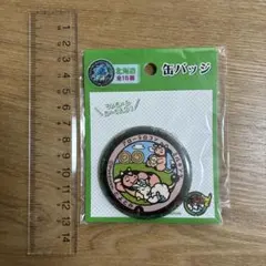 【新品未開封：北海道限定】ポケモン　ポケふた　マンホールカード　缶バッジ　豊富町