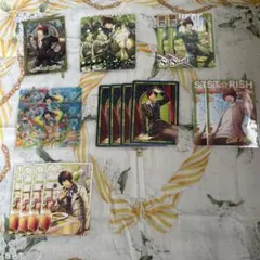 【バラ売り可】愛島セシル ビジュコレvol.4