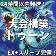 DK トゥーンライゼオルデッキ 本格構築 トゥーン ライゼオル 構築済み