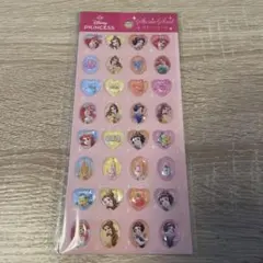 Disney プリンセス ストーンシール