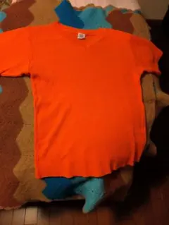 レア?　HEALTHKNITヘルスニットUSA製半袖Vネック半袖シャツ